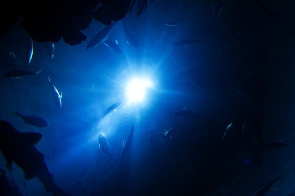 Light under water